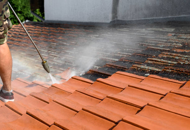 Best House Pressure Washing  in Jamestown, NY
