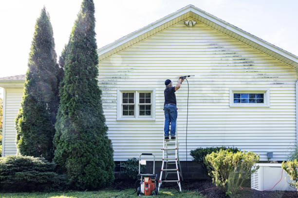Best Affordable Power Washing  in Jamestown, NY