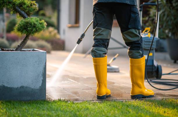 Best Pressure Washing Siding  in Jamestown, NY